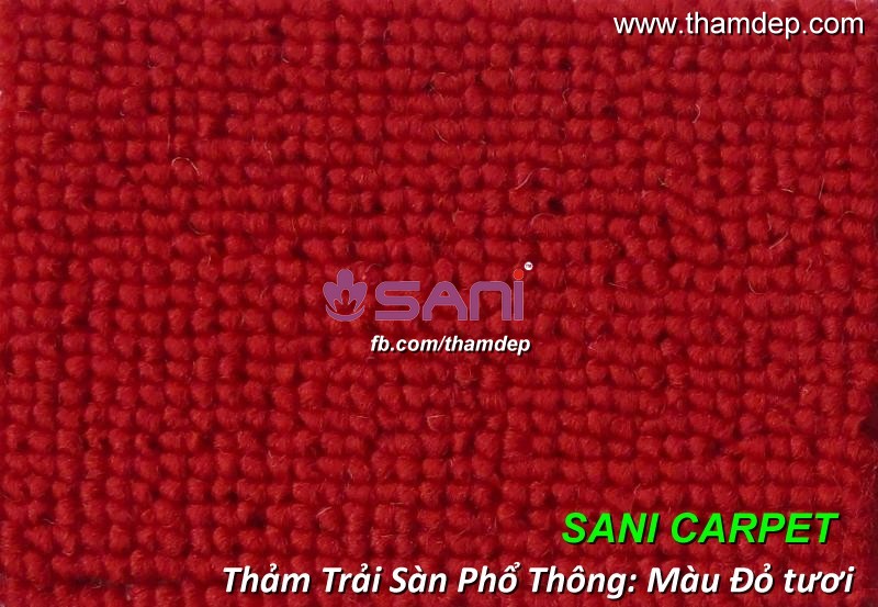 Thảm trải sàn một màu giá rẻ - Màu đỏ tươi tham trai san ws 77 do tuoi
