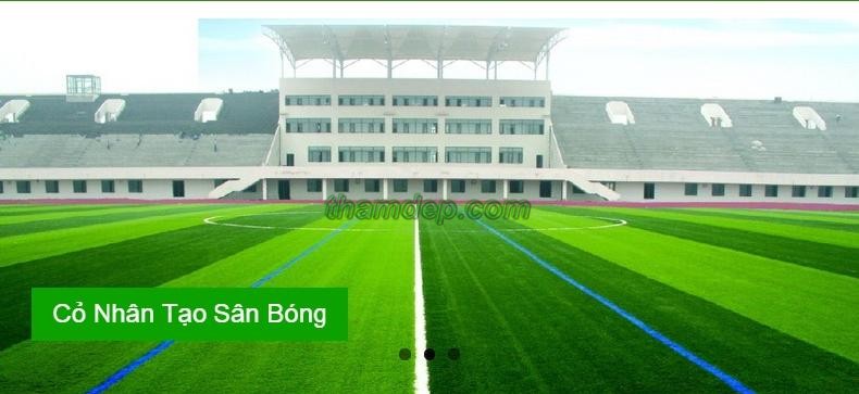 Thảm cỏ nhân tạo SANI co nha tao san bong