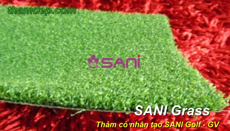 Cỏ nhân tạo SANI Golf - GV co nhan tao sani sani gv 2