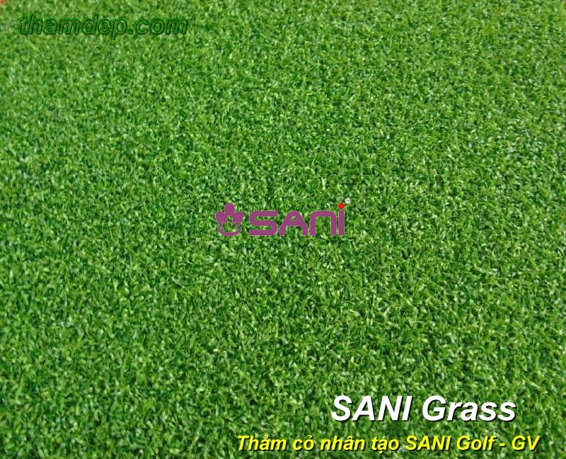 Cỏ nhân tạo SANI Golf - GV co nhan tao sani sani gv