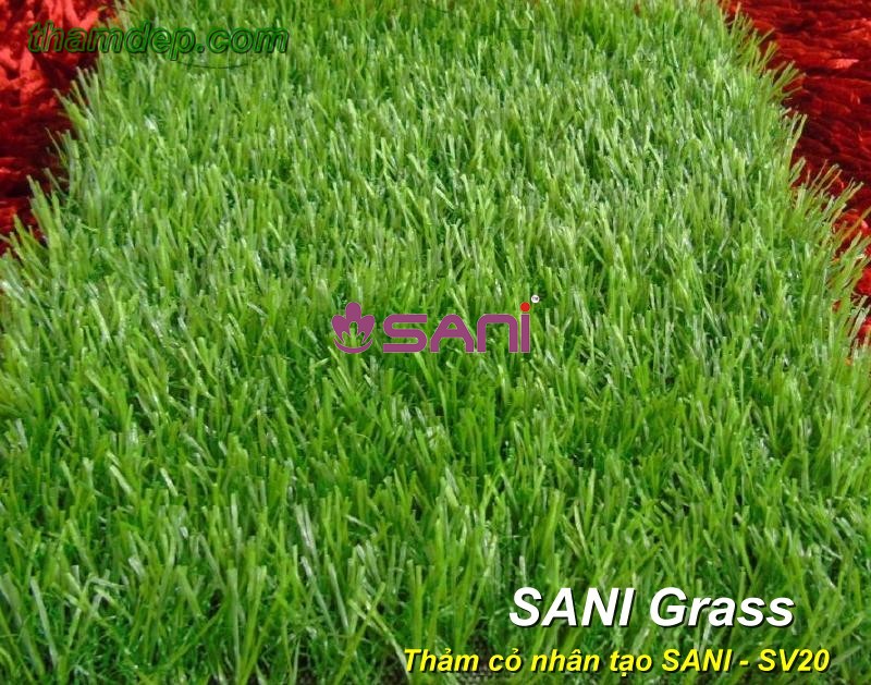 co nhan tao sani sani sv20