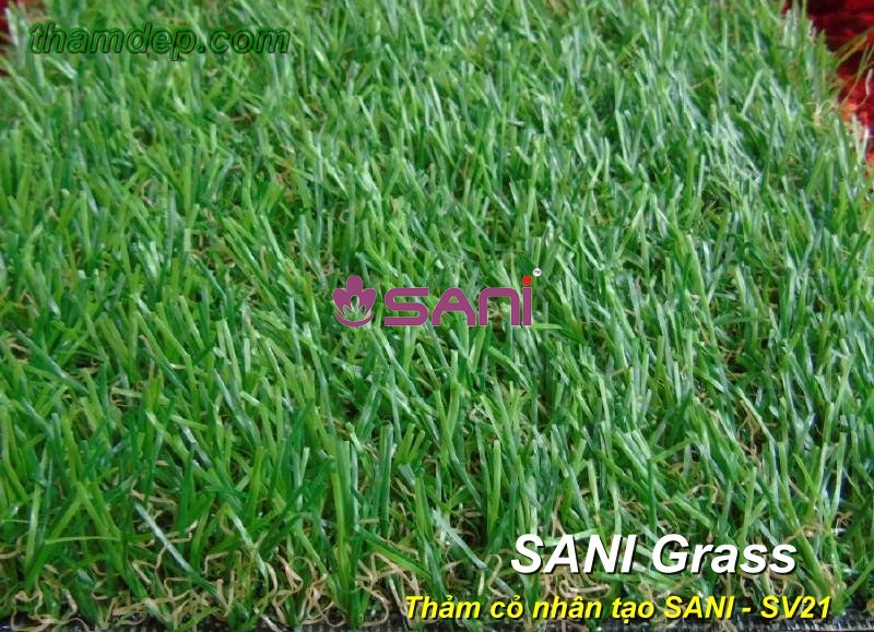 co nhan tao sani sani sv21