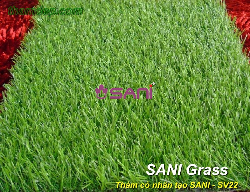 co nhan tao sani sani sv22