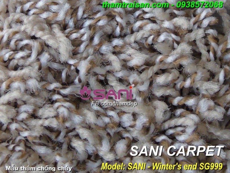 tham trang tri shagy winters end
