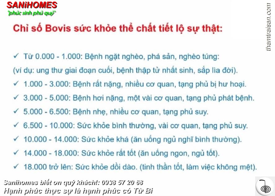 tan so rung dong tam 7