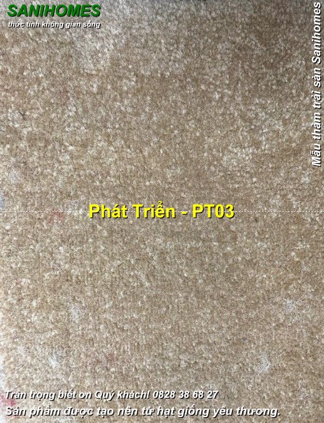 tham trai san mau kem pt 03