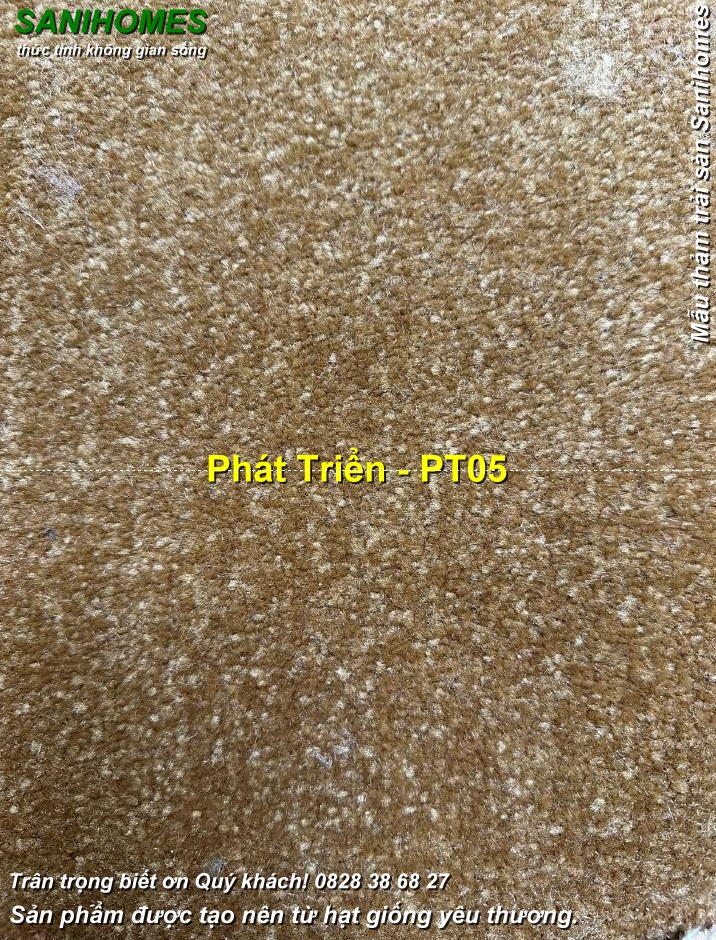 tham trai san vang dong pt 05