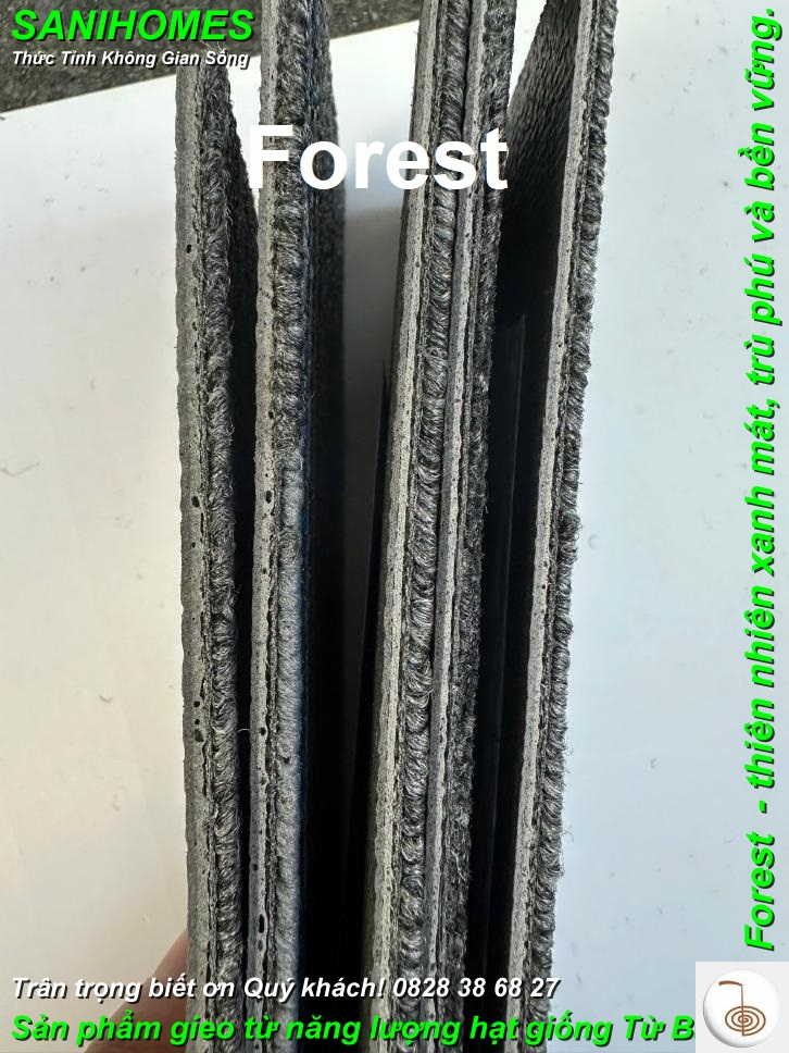 tham trai san de cao su forest 3 968