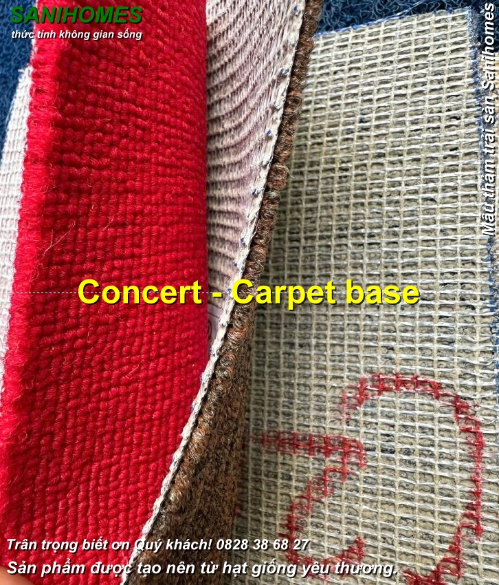 tham trai san hoa nhac concert de tham c